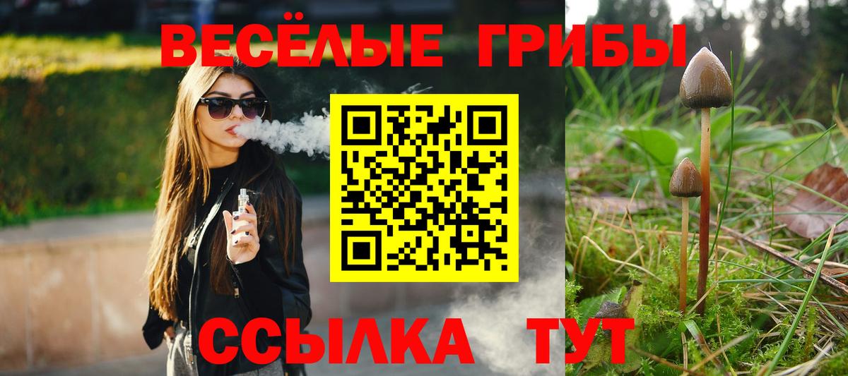 купить наркотики сайты  Вход с VPN  Крымск  Галлюциногенные грибы ЛСД 