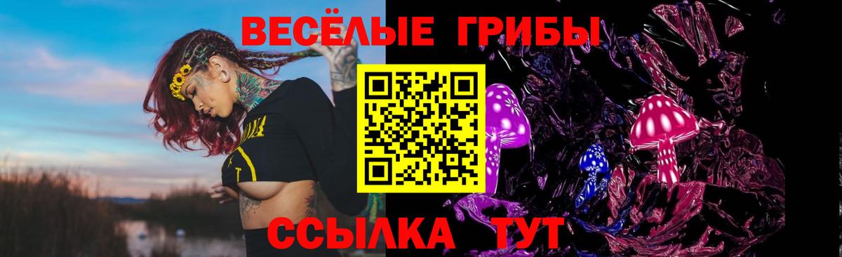 Галлюциногенные грибы GOLDEN TEACHER Крымск